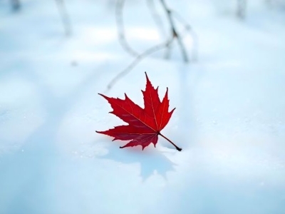 Ma cabane au Canada